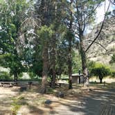 Review photo of Tree Of Heaven Campground by Katie P., July 17, 2019