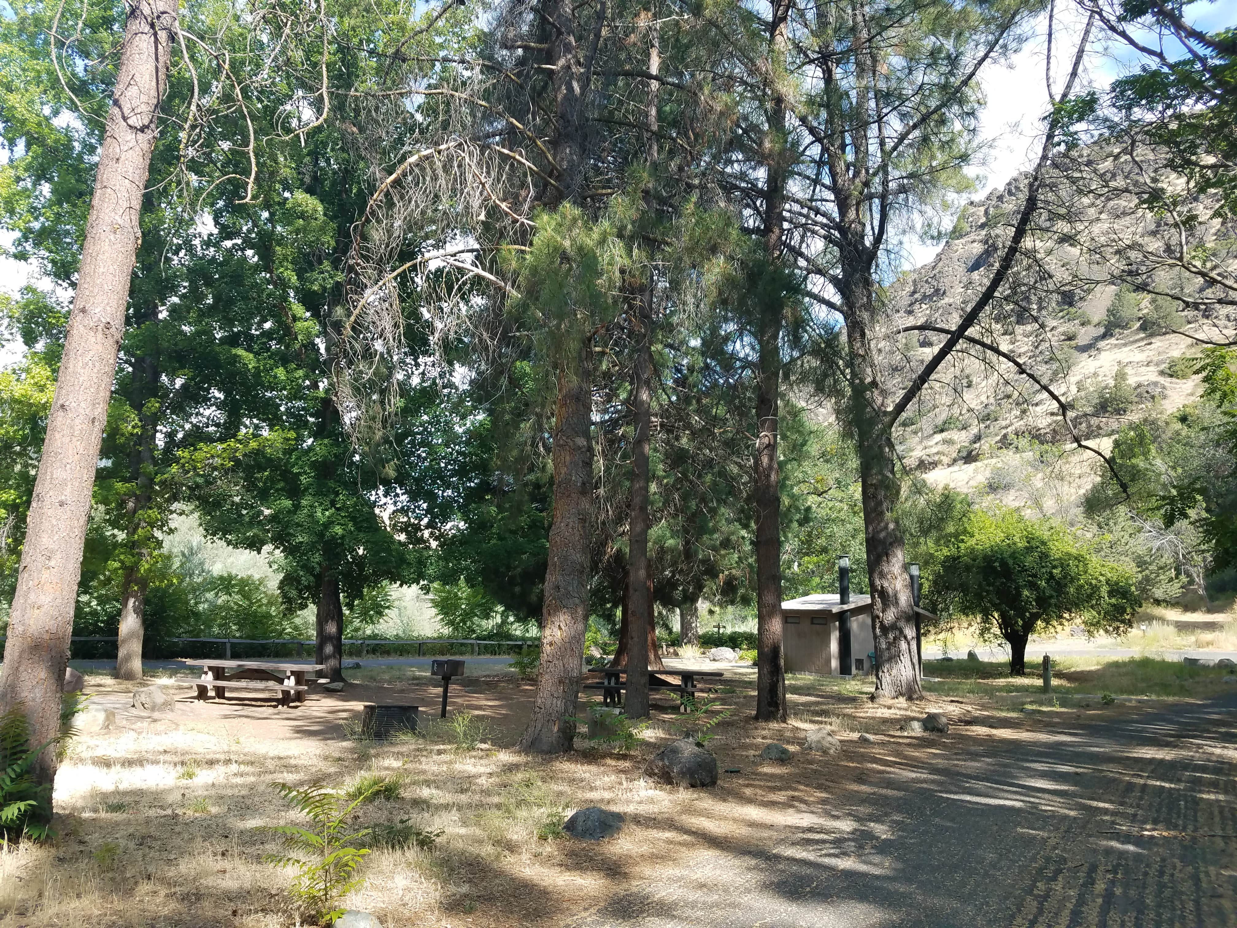 Camper submitted image from Tree Of Heaven Campground - 4