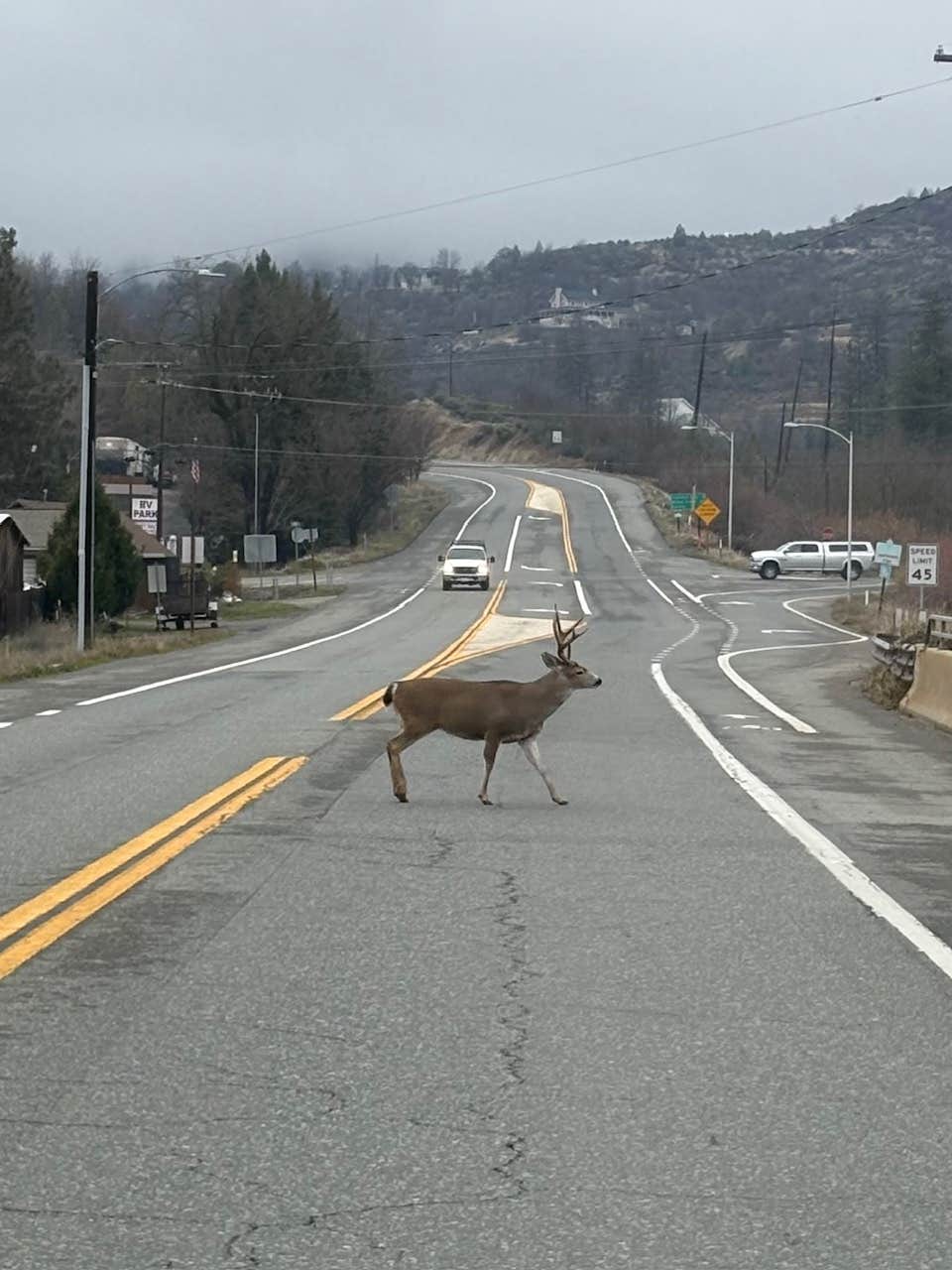 Camper-submitted photo at Trinity Alps RV Park near Hayfork, CA