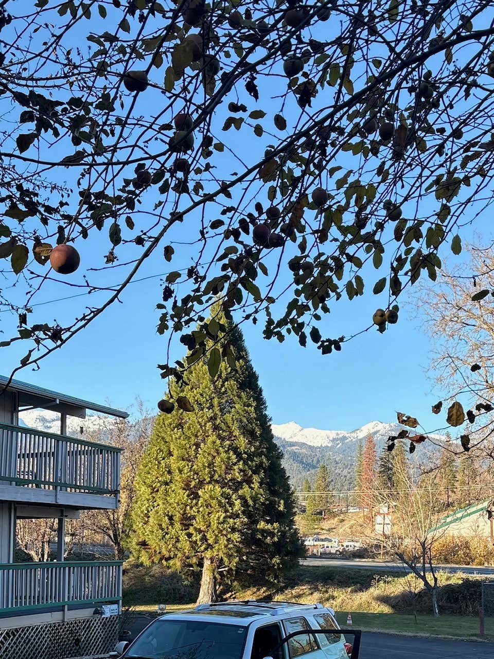 Camper-submitted photo at Trinity Alps RV Park near Hayfork, CA