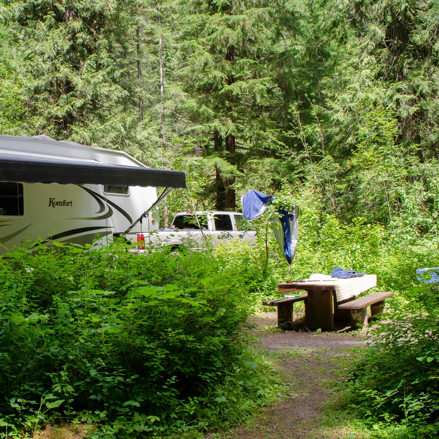 Tin Can Flat Campground Camping The Dyrt