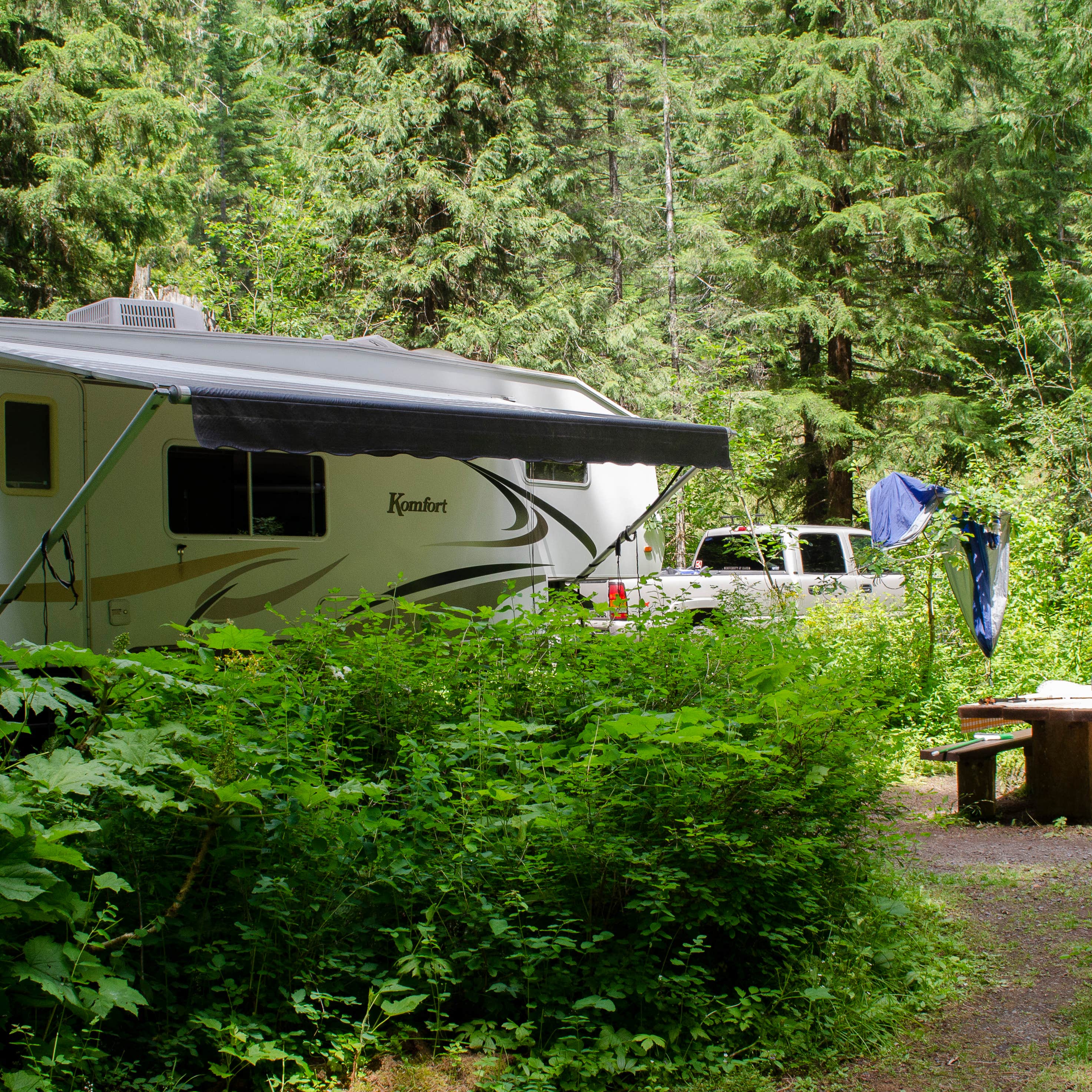 Idaho's Hidden Gem: Tin Can Flat Campground - Where Adventure Meets Serenity