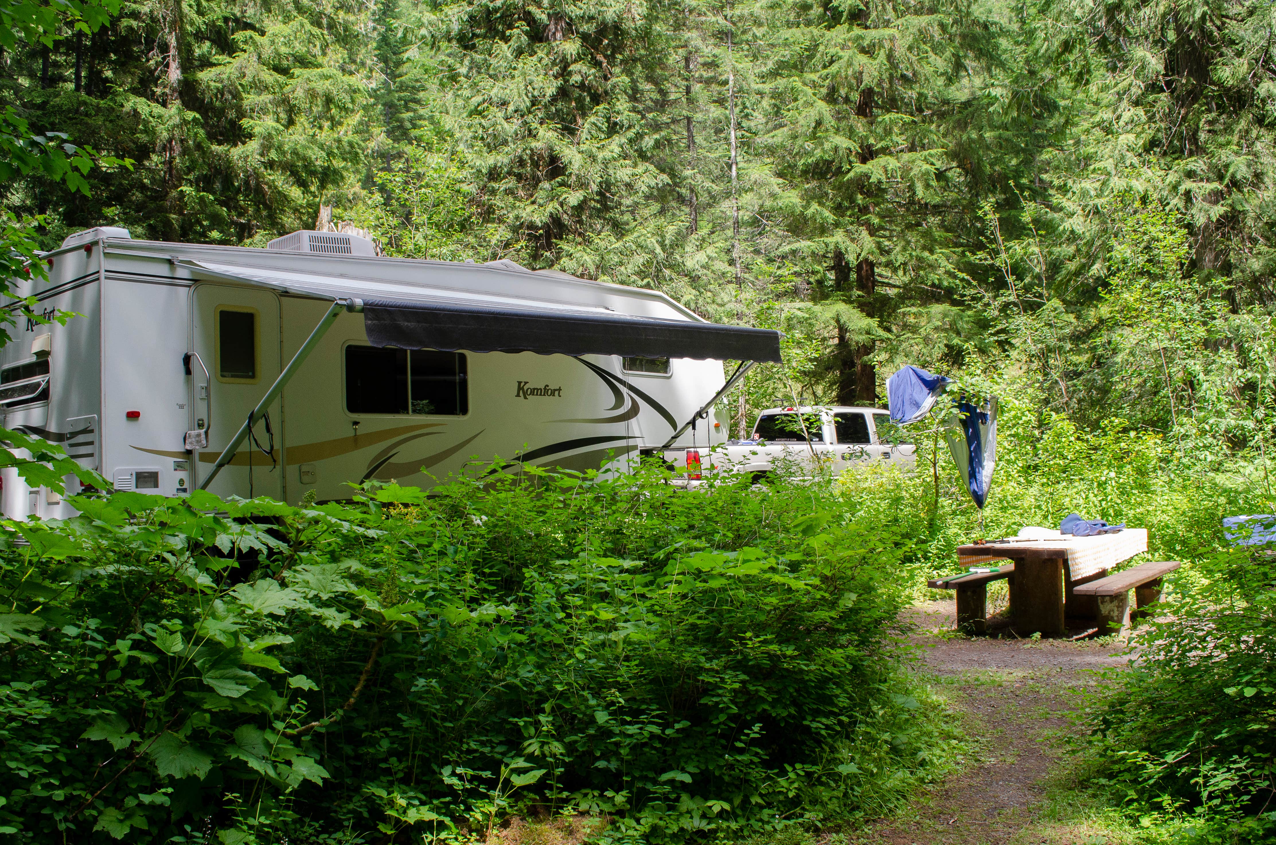 Camper submitted image from Tin Can Flat Campground - 4