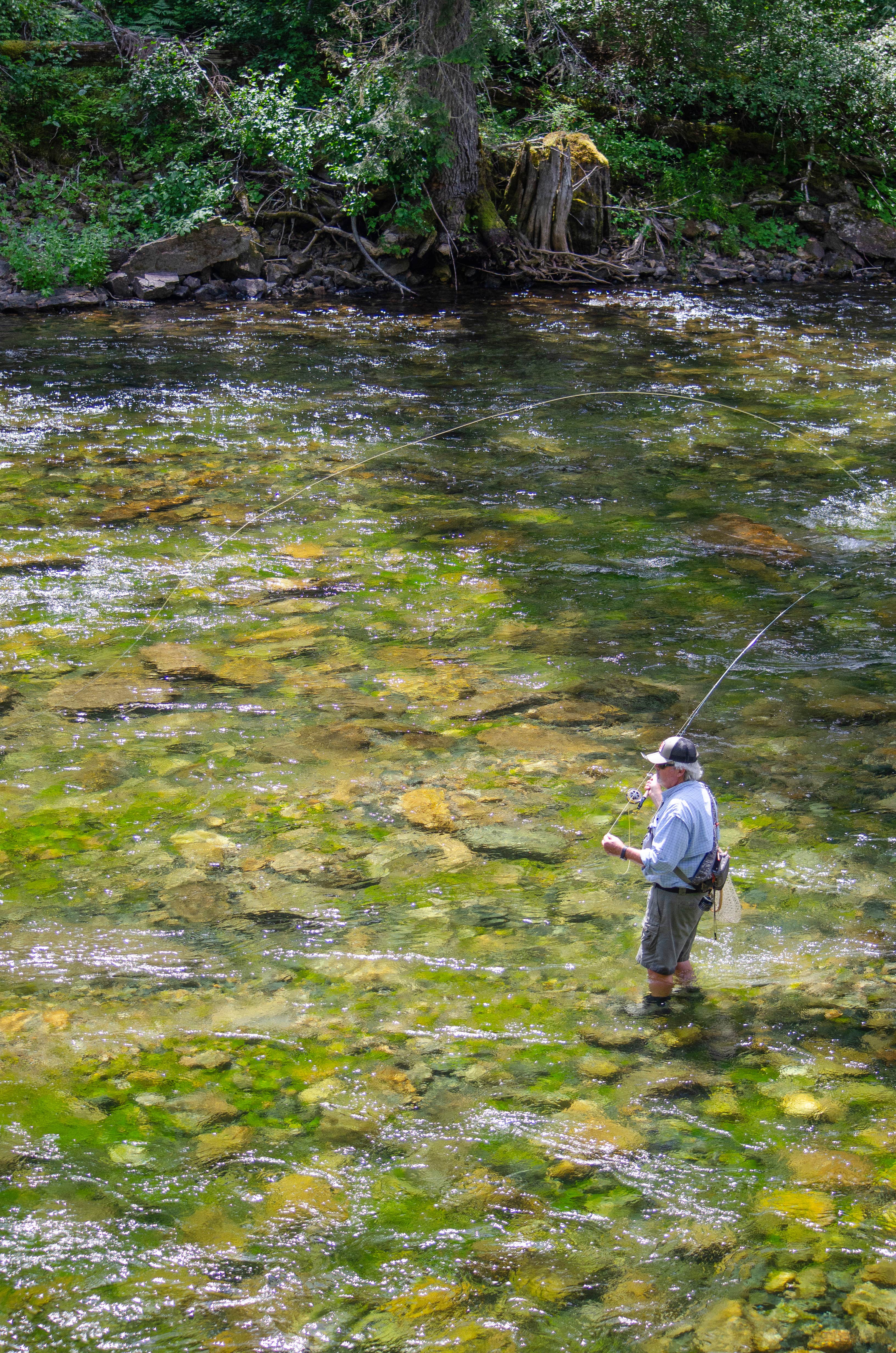 Camper-submitted photo at Tin Can Flat Campground near Saltese, MT