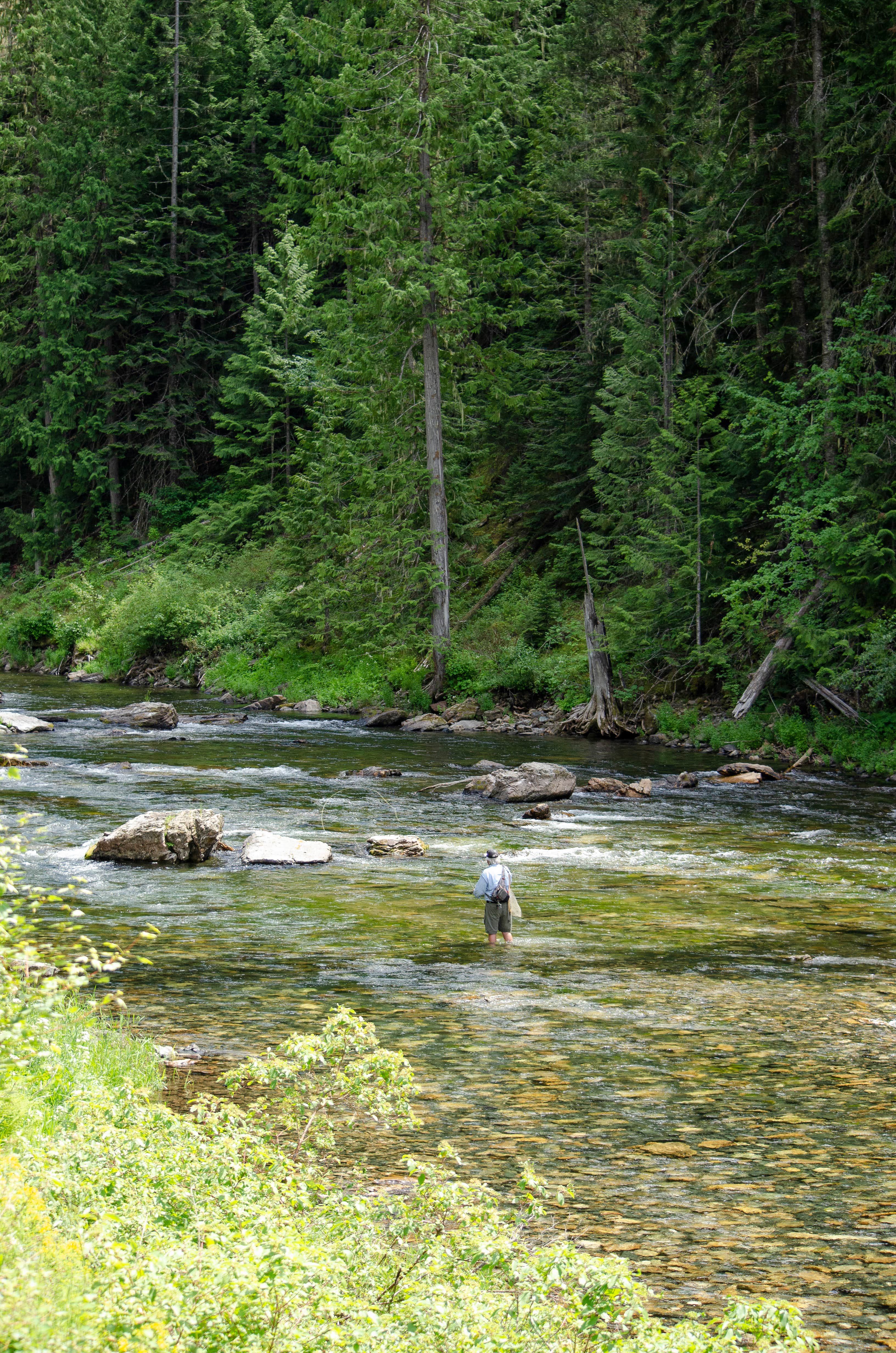 Camper-submitted photo at Tin Can Flat Campground near Saltese, MT