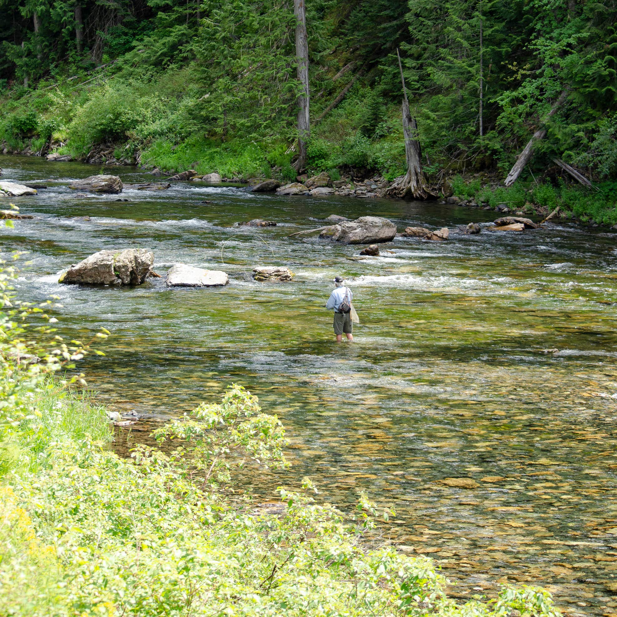 Tin Can Flat Campground Camping The Dyrt