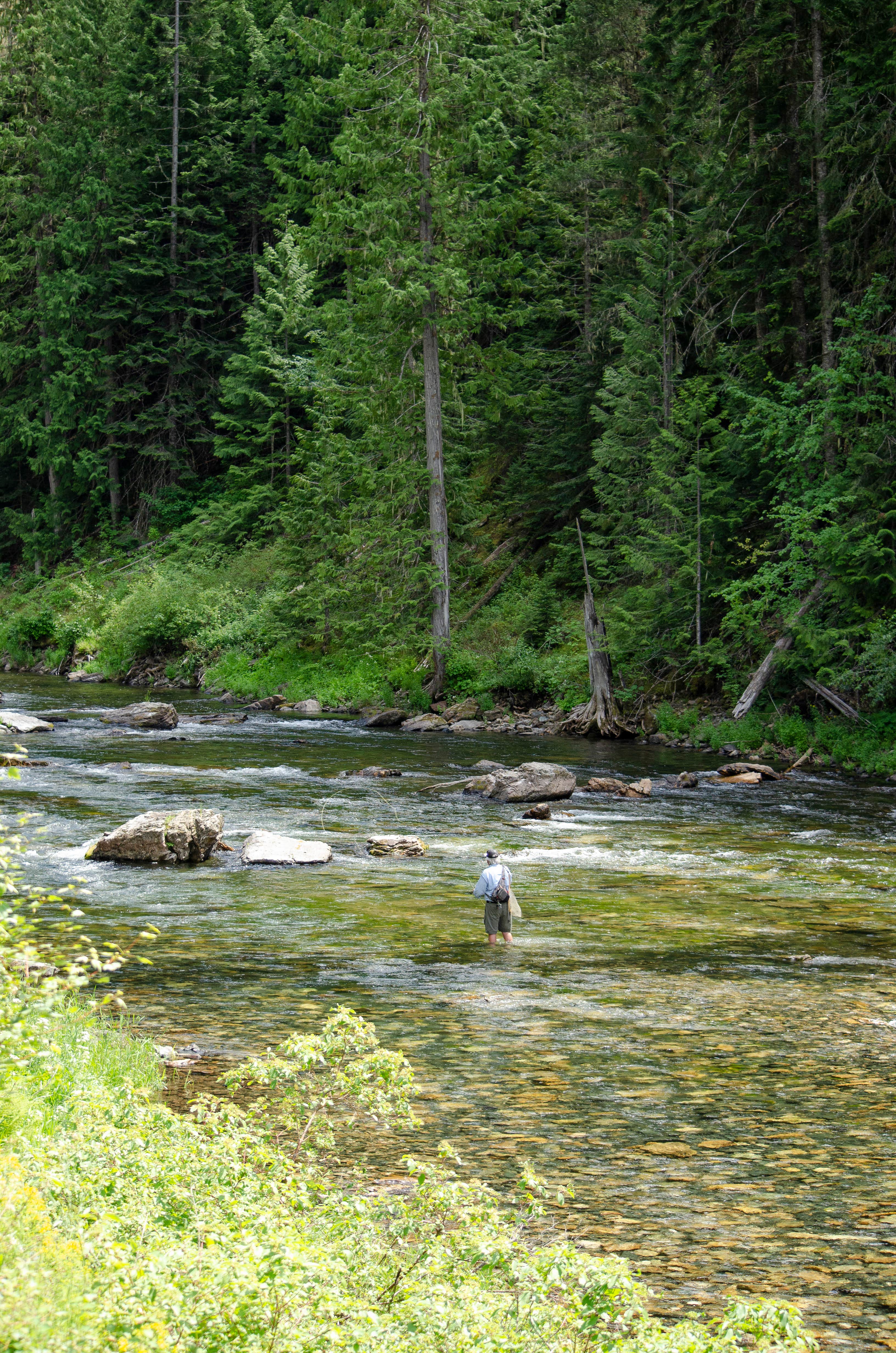 Camper submitted image from Tin Can Flat Campground - 3