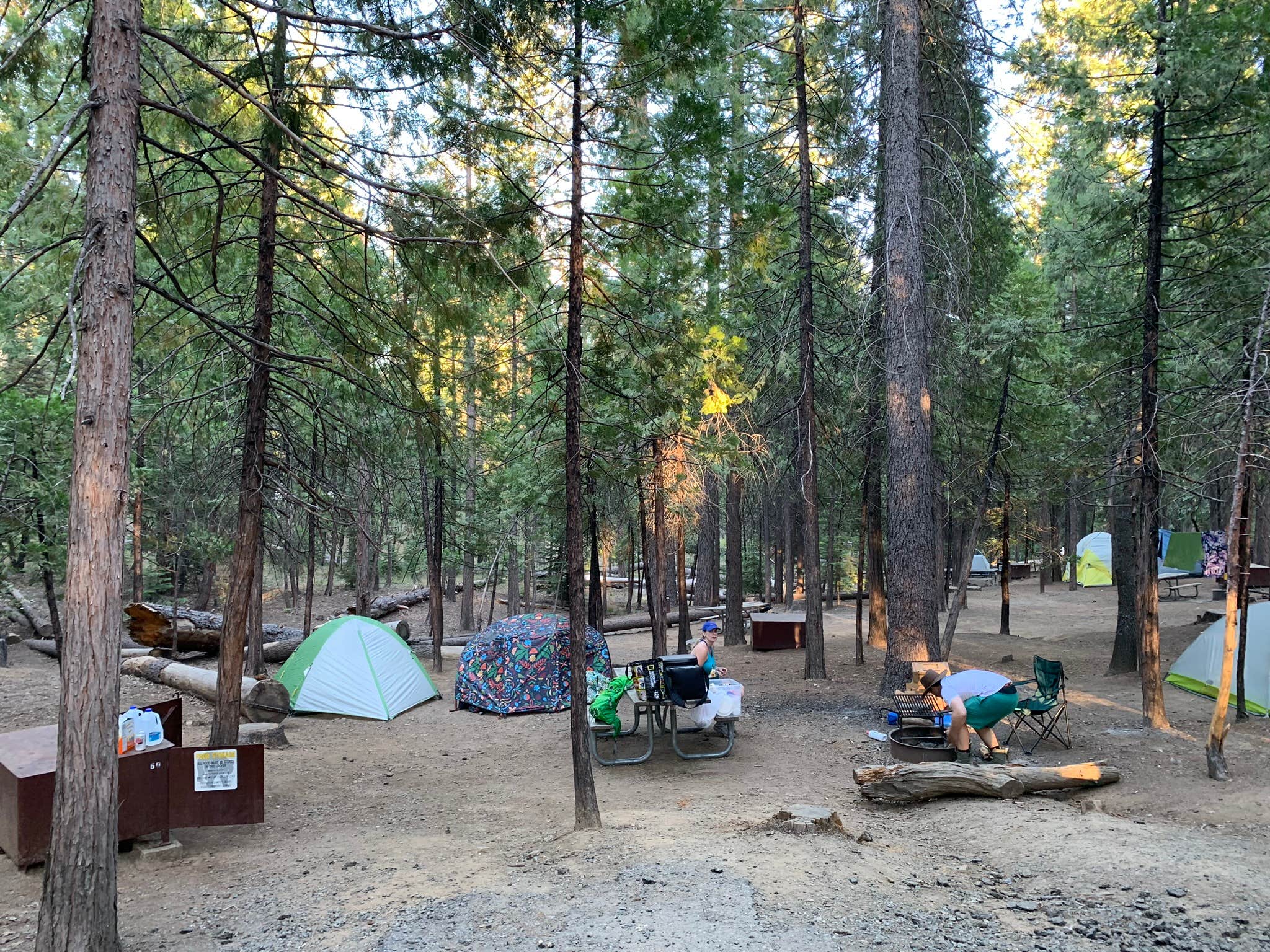 Meesh C.'s photo at Hodgdon Meadow Campground — Yosemite National Park near El Portal, CA