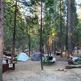 Review photo of Hodgdon Meadow Campground — Yosemite National Park by Meesh C., July 17, 2019