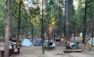 Meesh C.'s photo at Hodgdon Meadow Campground — Yosemite National Park near El Portal, CA