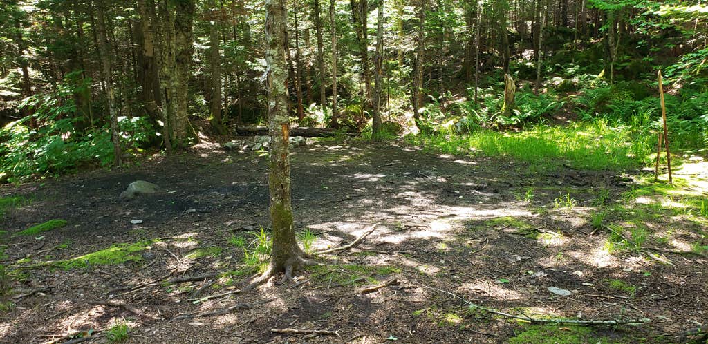 Camper-submitted photo at Tripoli Road near North Woodstock, NH