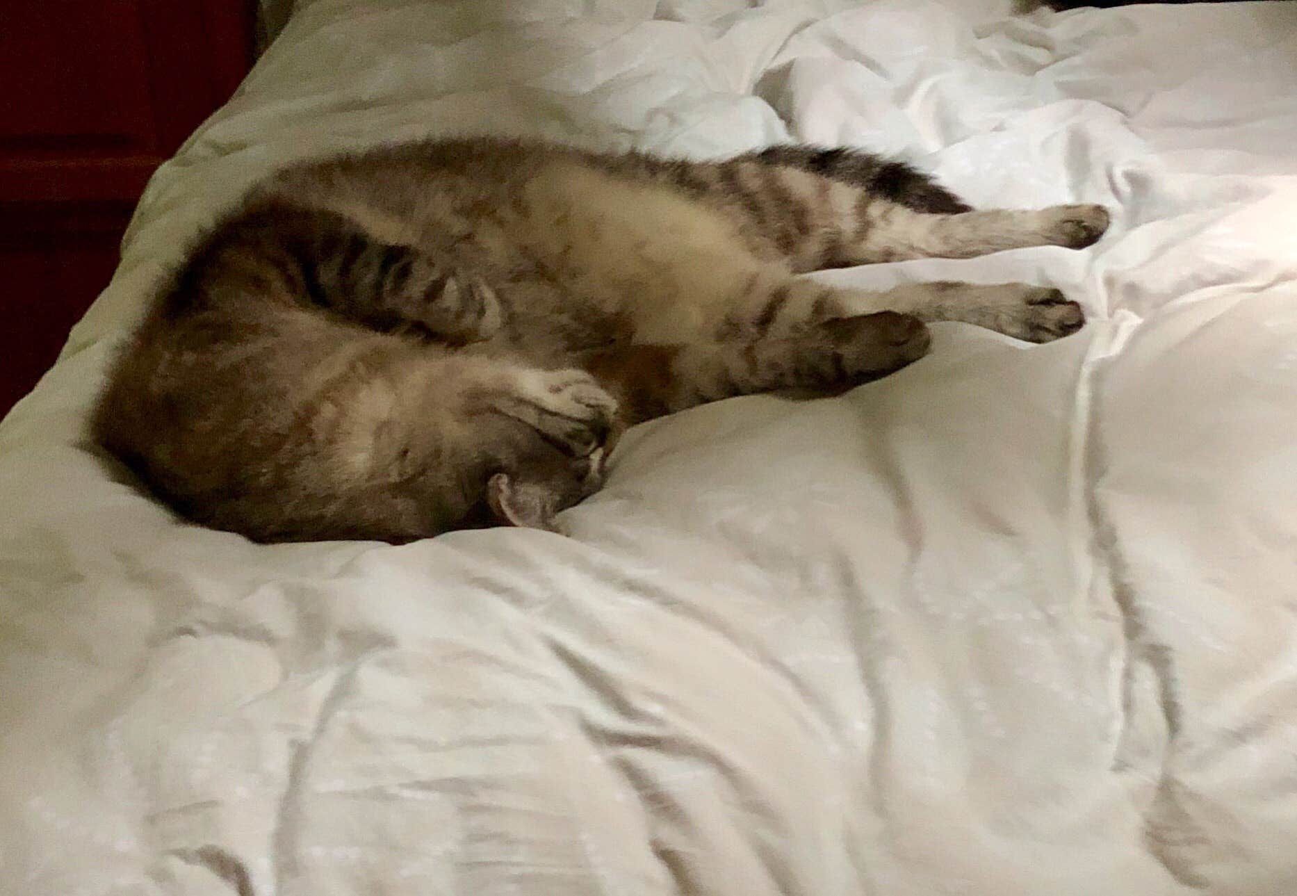 Camper-submitted photo at Tin Can Flat Campground near Saltese, MT