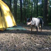 Review photo of Worthington State Forest Campground — Delaware Water Gap National Recreation Area by Molly G., September 20, 2016