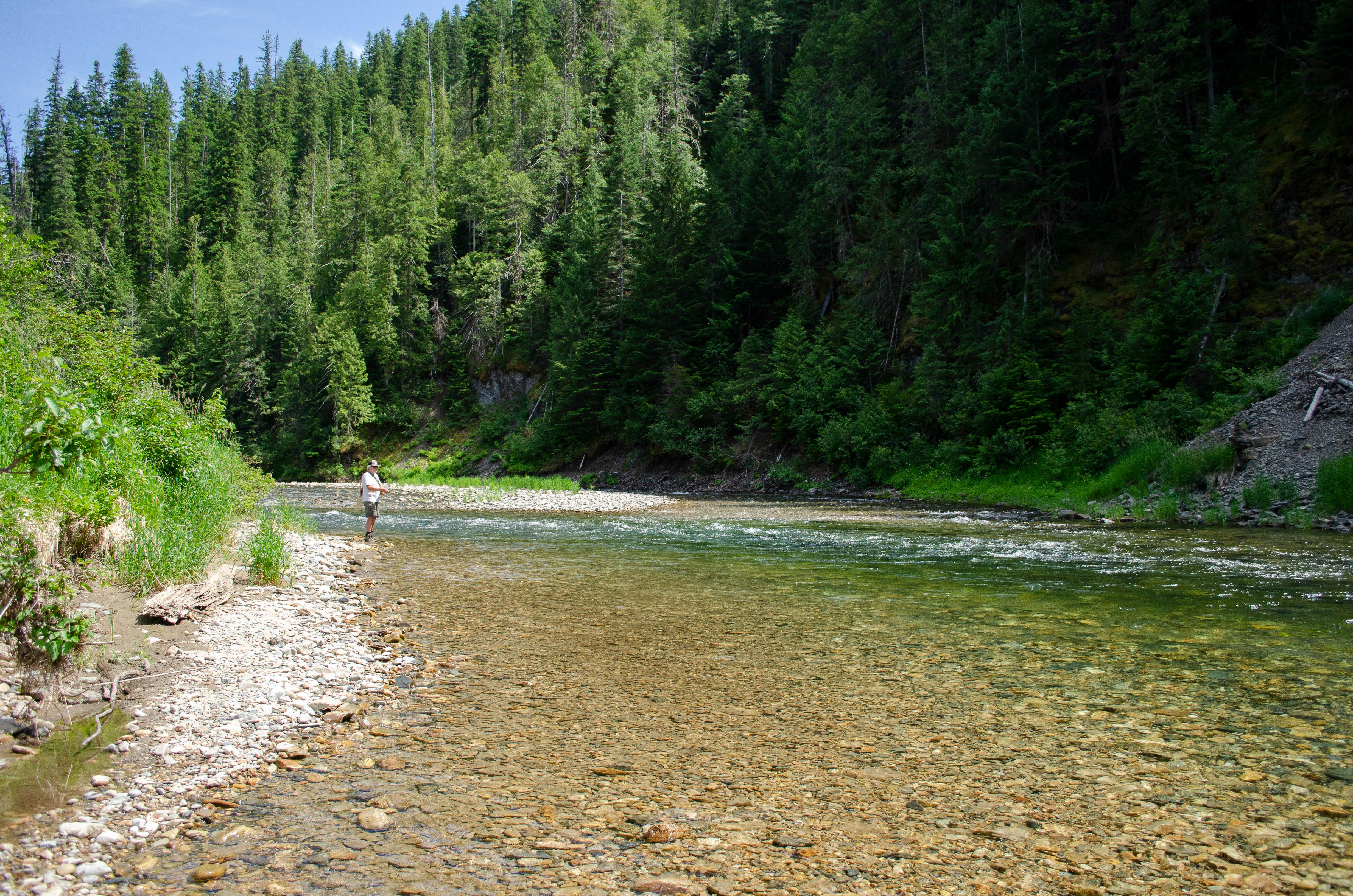 Camper submitted image from Tin Can Flat Campground - 1