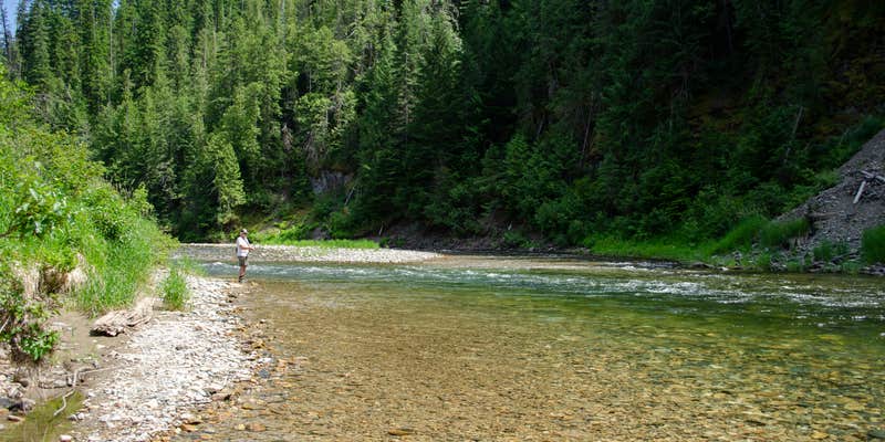 Camper submitted image from Tin Can Flat Campground