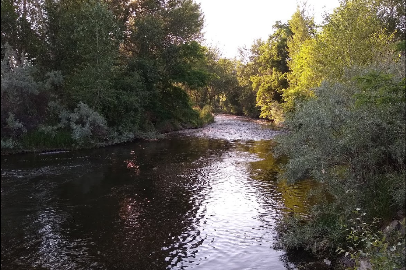Water