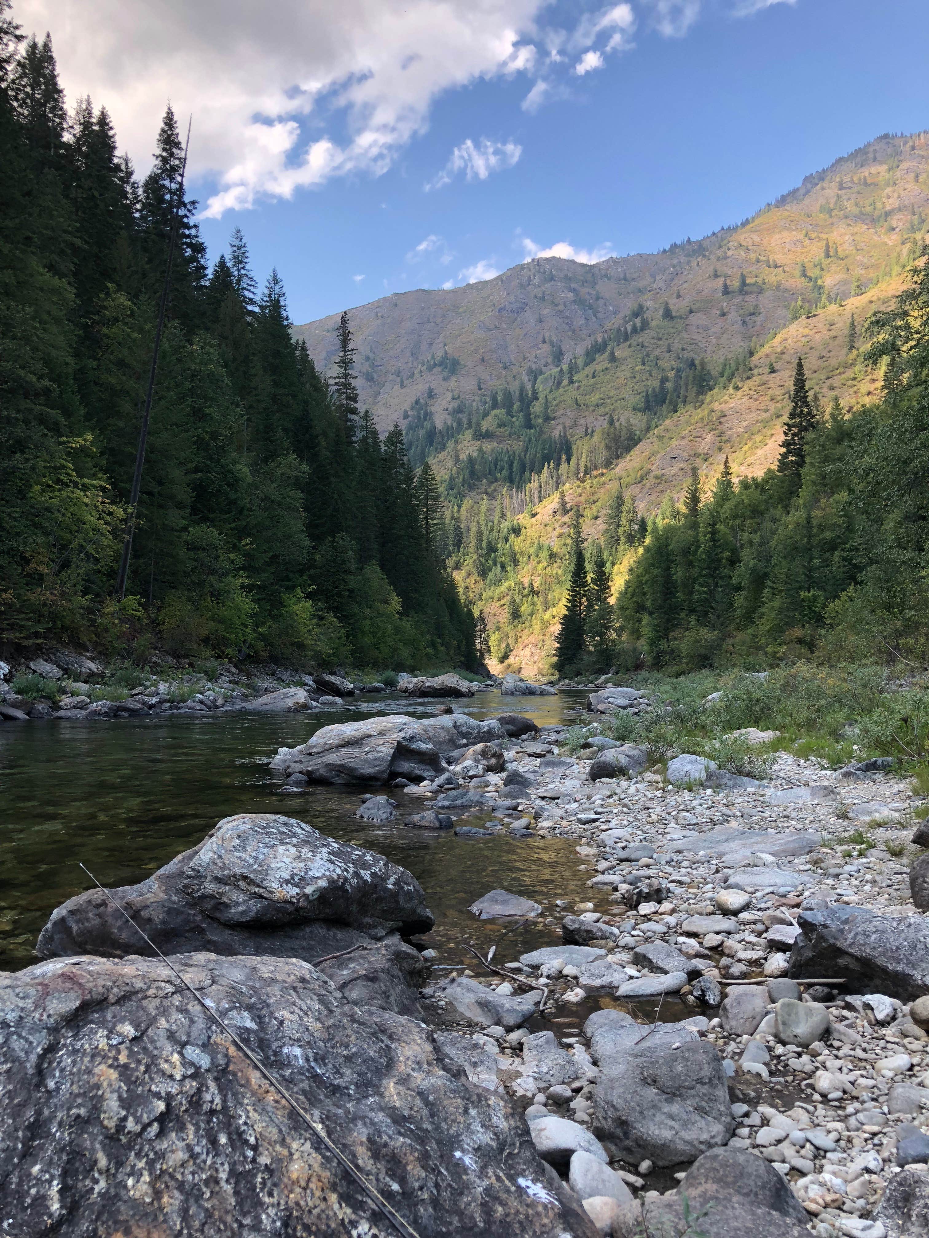 Camper submitted image from Kelly Forks Cabin — Nez Perce Clearwater National Forests - 3