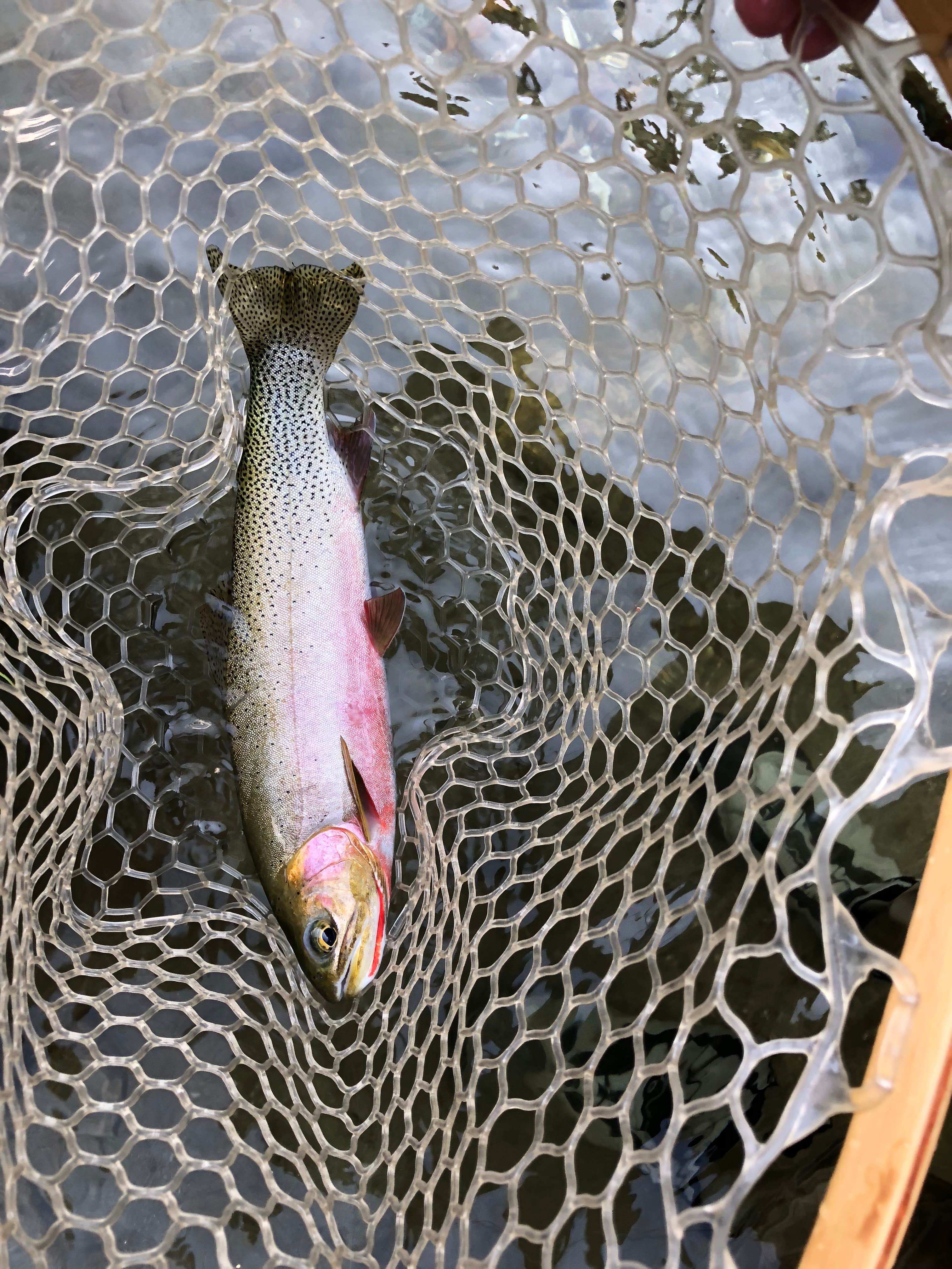Camper-submitted photo at Kelly Forks Cabin — Nez Perce Clearwater National Forests near Elk River, ID