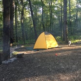 Review photo of Worthington State Forest Campground — Delaware Water Gap National Recreation Area by Molly G., September 20, 2016
