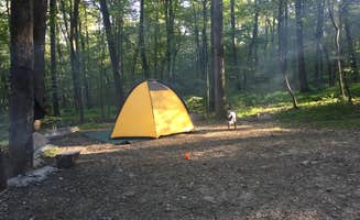 Molly G.'s photo at Worthington State Forest Campground — Delaware Water Gap National Recreation Area near Unity House, PA