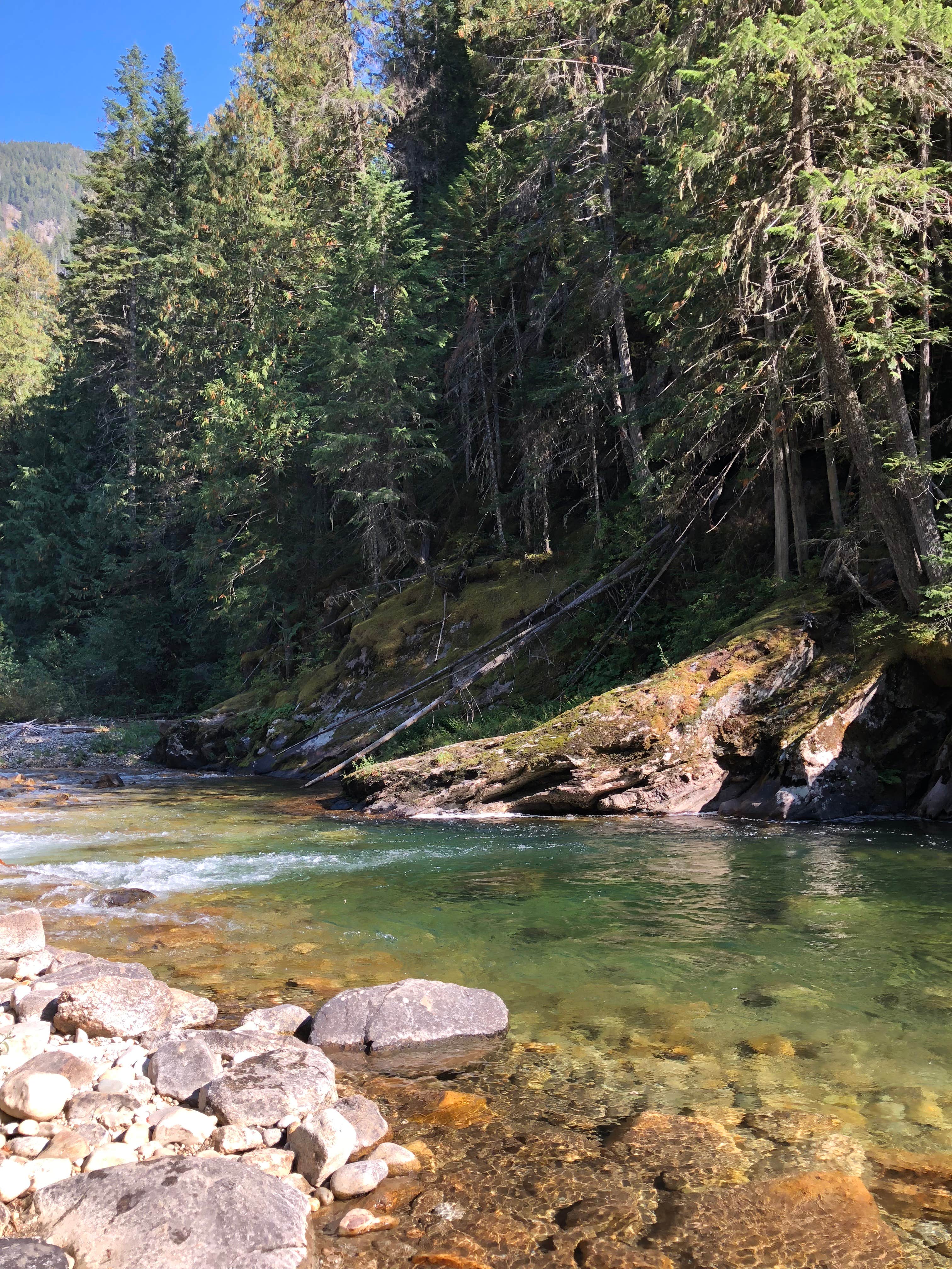 Camper-submitted photo at Kelly Forks Cabin — Nez Perce Clearwater National Forests near Elk River, ID