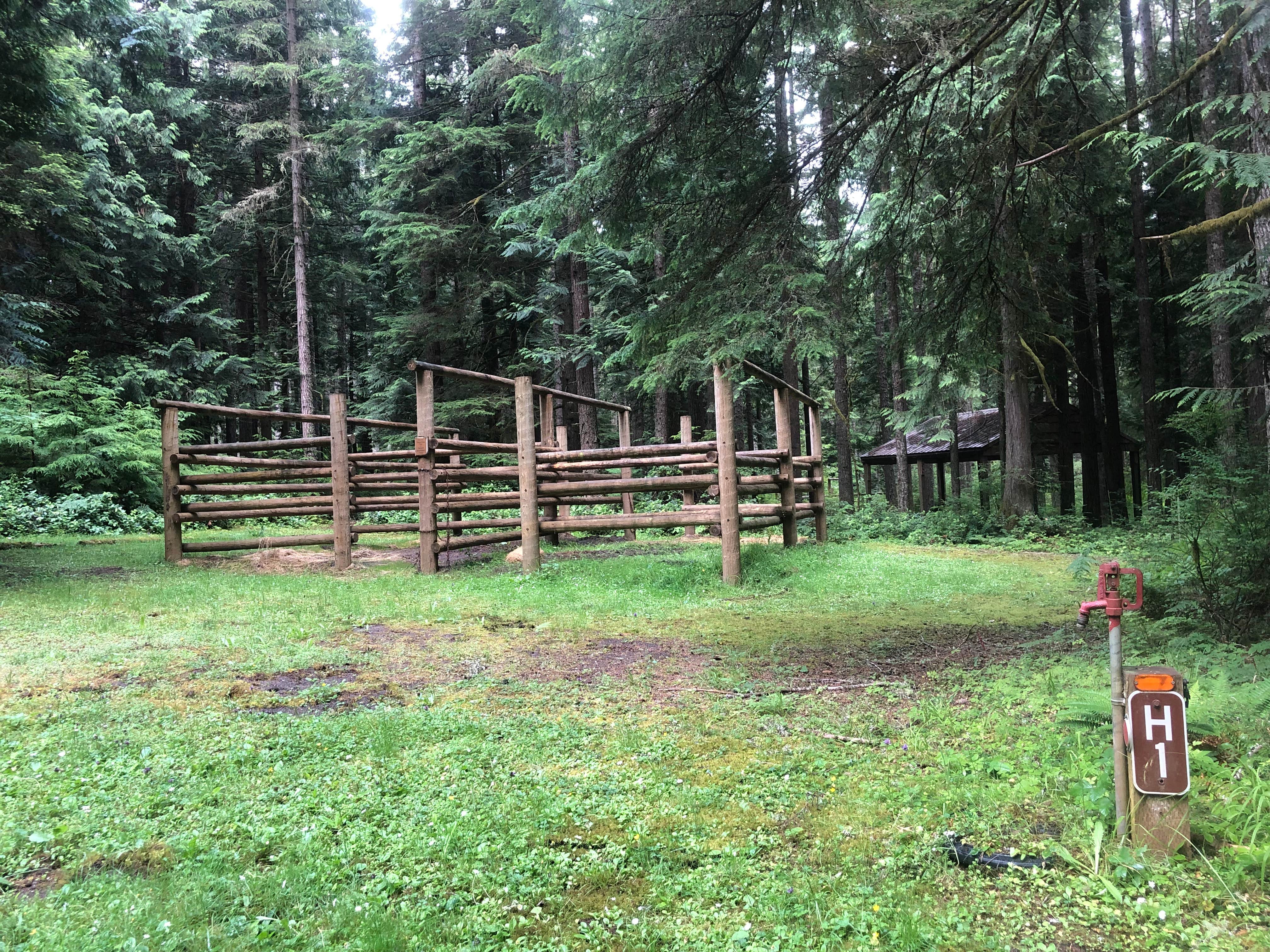 Camper-submitted photo at Camp Wilkerson near Woodland, WA