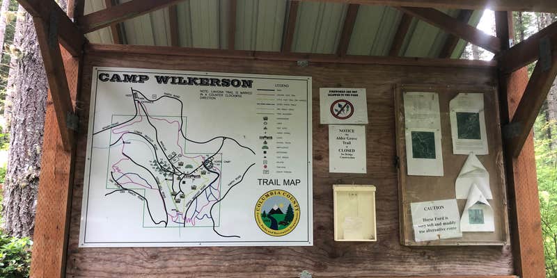 Camper submitted image from Camp Wilkerson