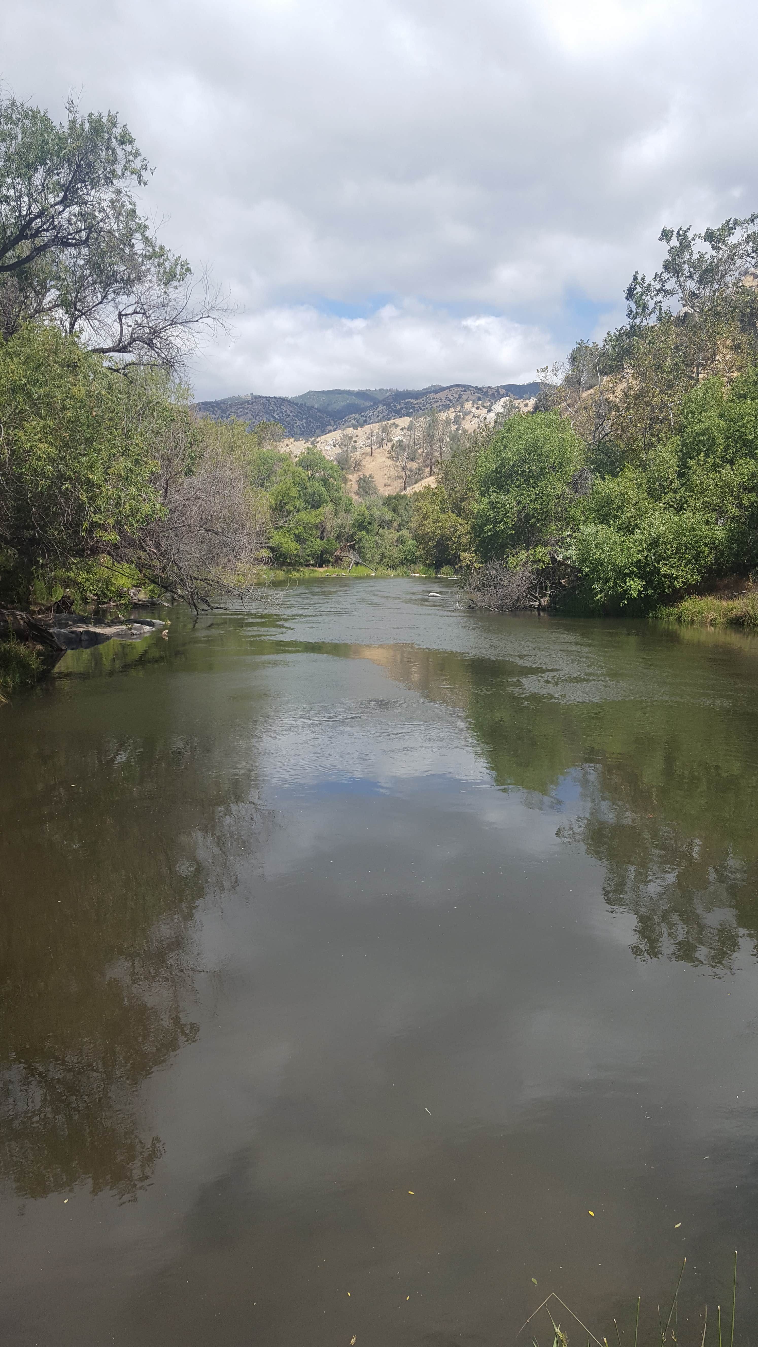 Camper submitted image from Hobo Campground — Sequoia National Forest - 2