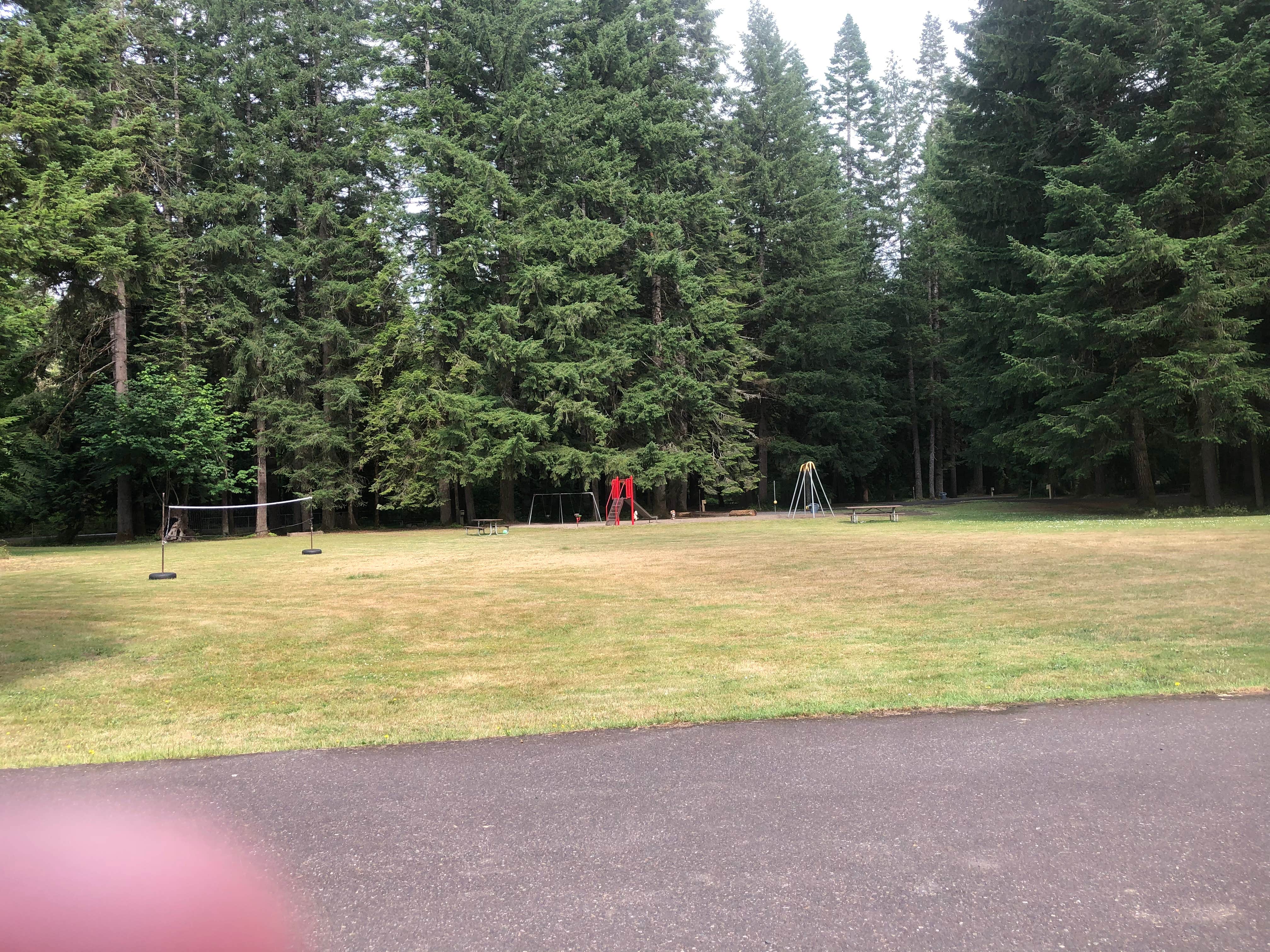 Camper-submitted photo at Big Eddy Park near Buxton, OR