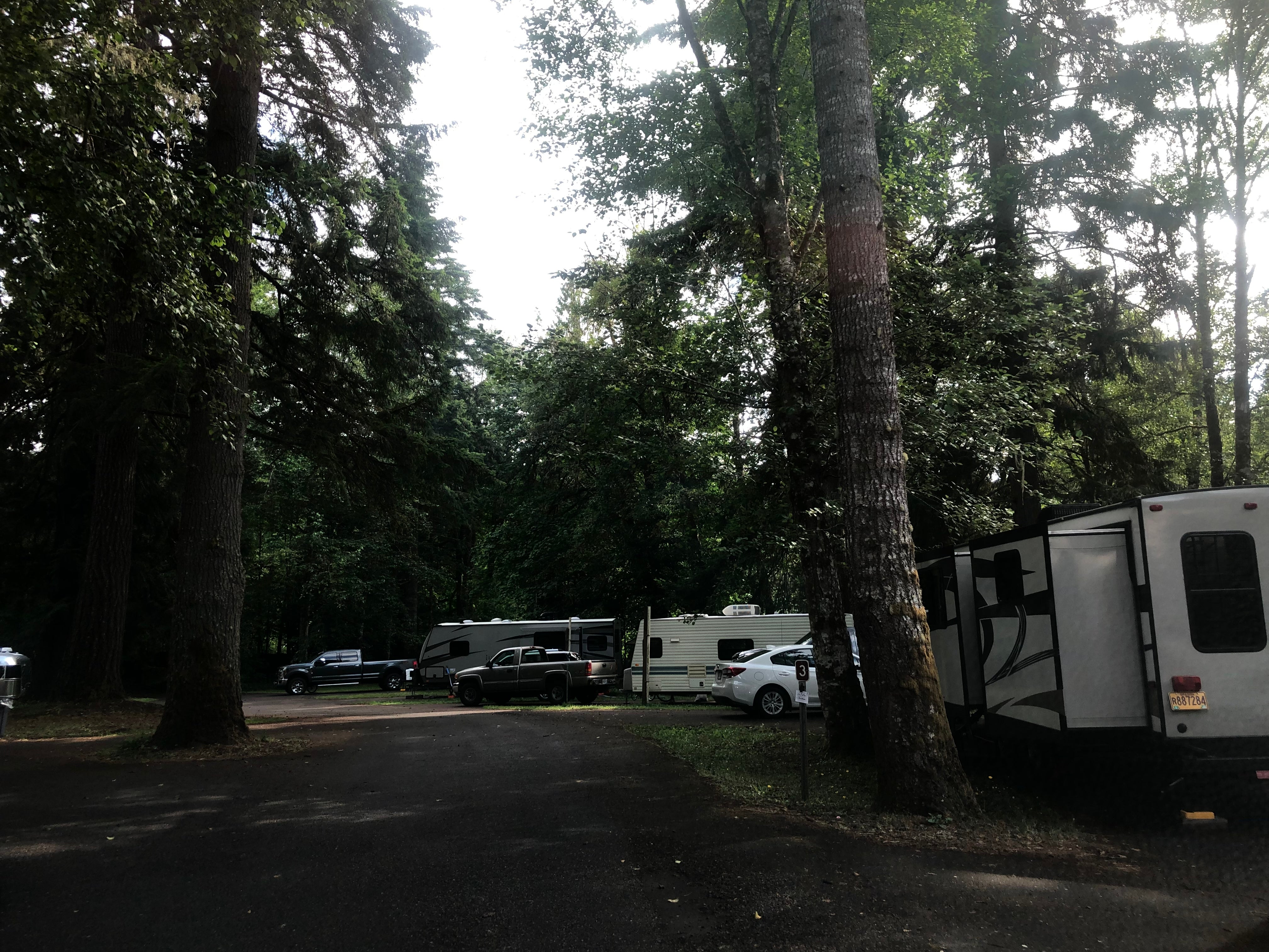 Camper submitted image from Big Eddy Park - 2