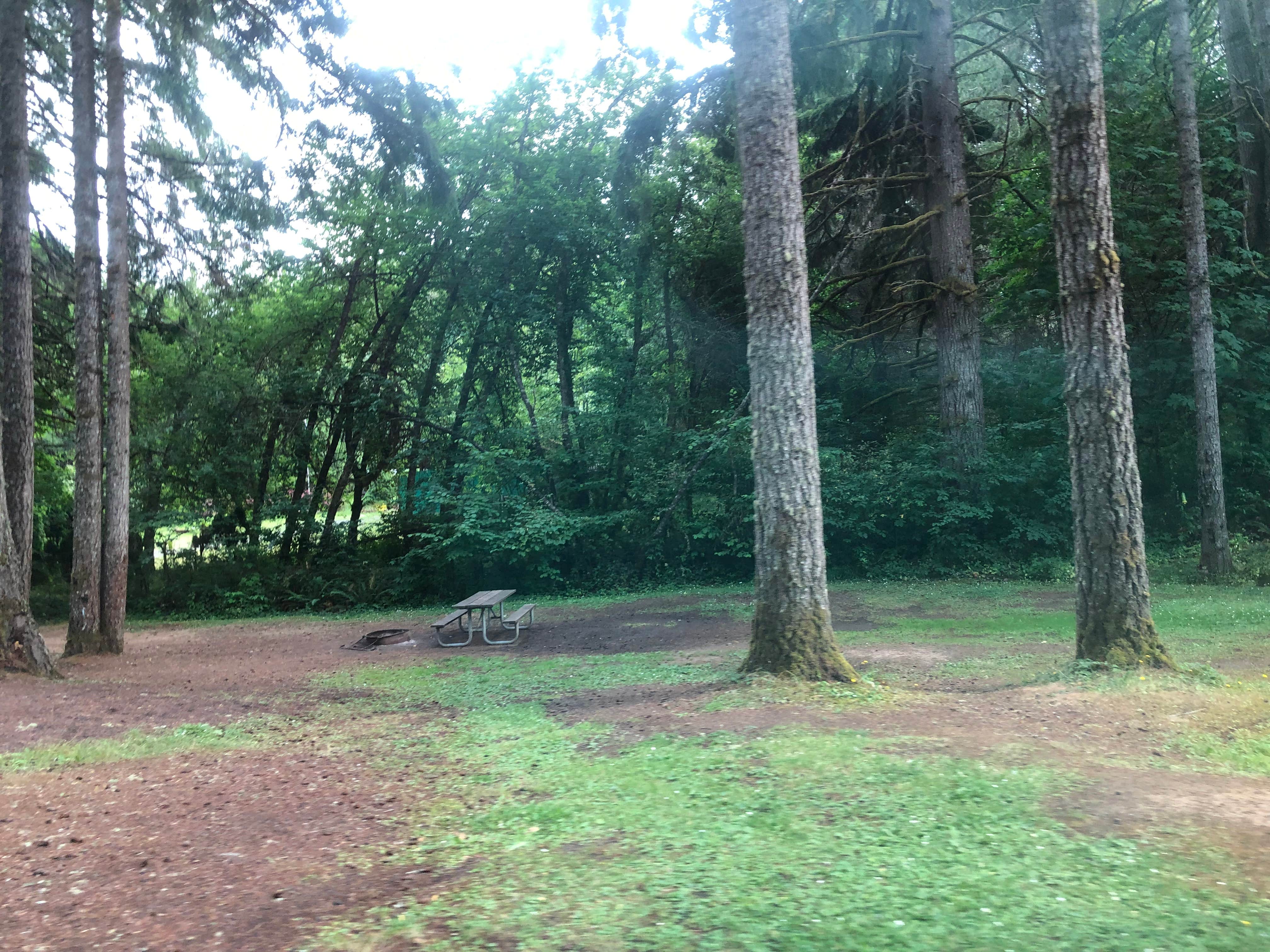 Camper-submitted photo at Big Eddy Park near Buxton, OR