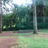 Review photo of Big Eddy Park by Schona K., July 17, 2019
