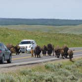 Review photo of Mammoth Campground — Yellowstone National Park by Elliott B., September 20, 2016