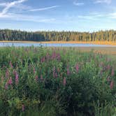 Review photo of Jackson County Howard Prairie Lake Resort by Shawn C., July 17, 2019