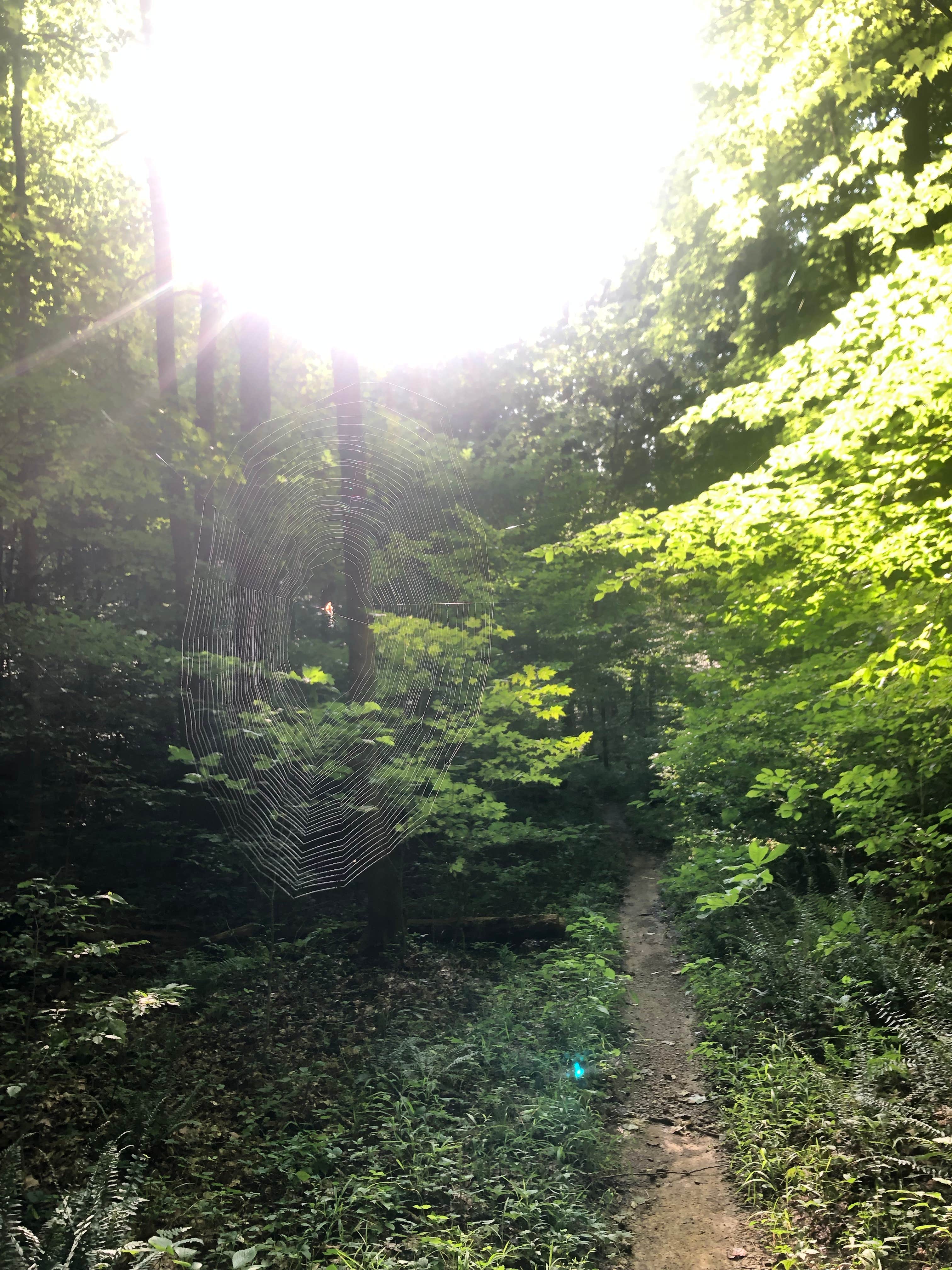 Roads