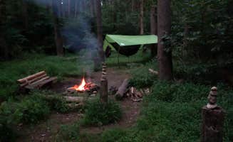 Darren L.'s photo at Charles C. Deam Wilderness near Harrodsburg, IN