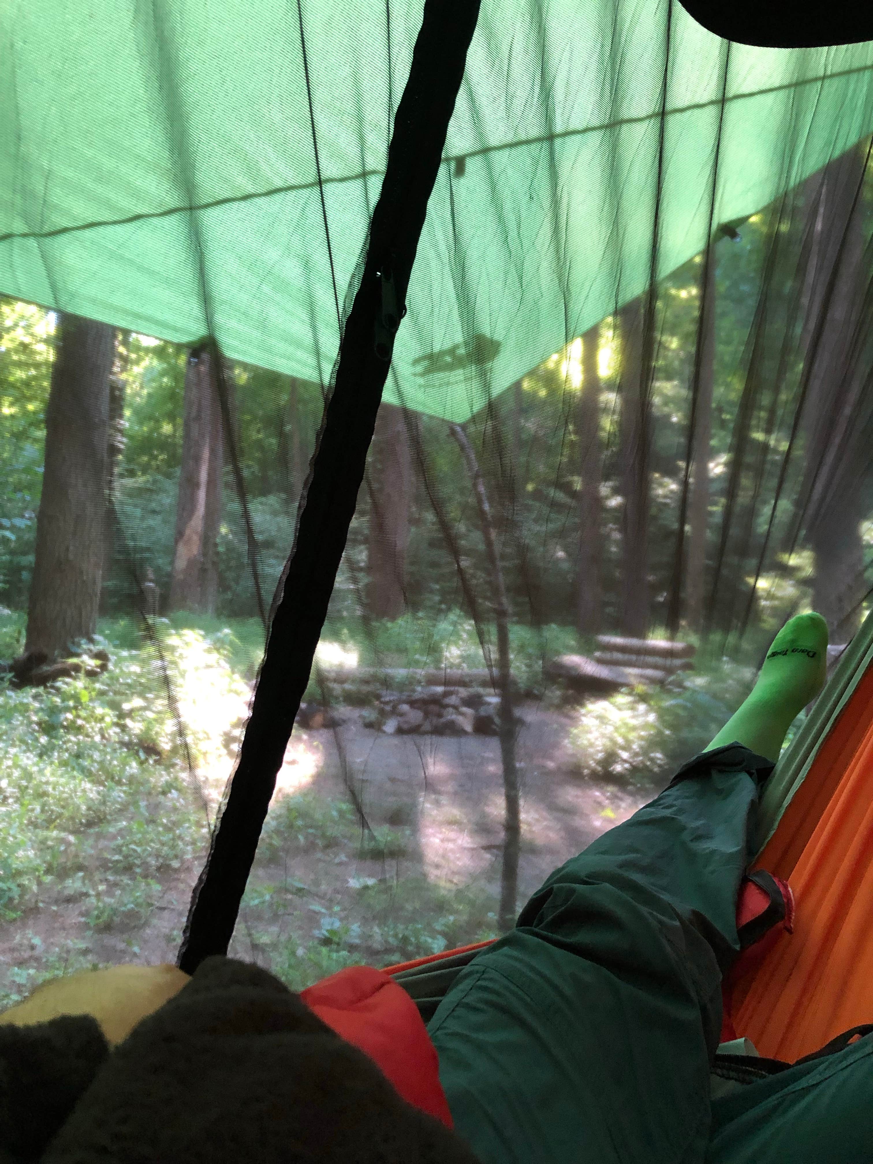 Camper submitted image from Charles C. Deam Wilderness - 4