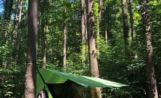 Darren L.'s photo of tent camping at Charles C. Deam Wilderness near Harrodsburg, IN