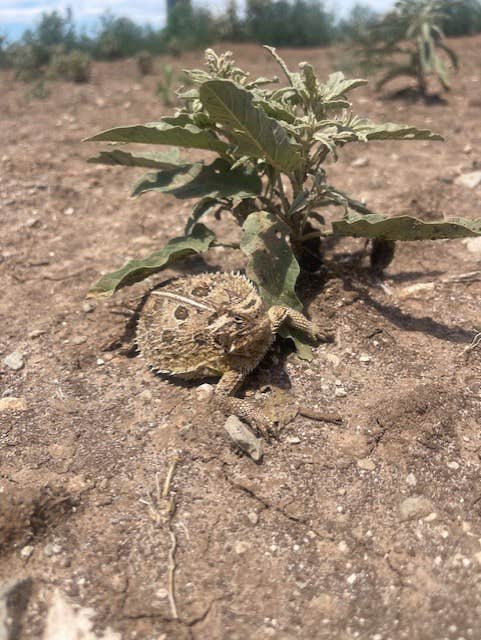 Camper-submitted photo at The Gathering Place RV Park near McClellan Creek National Grassland