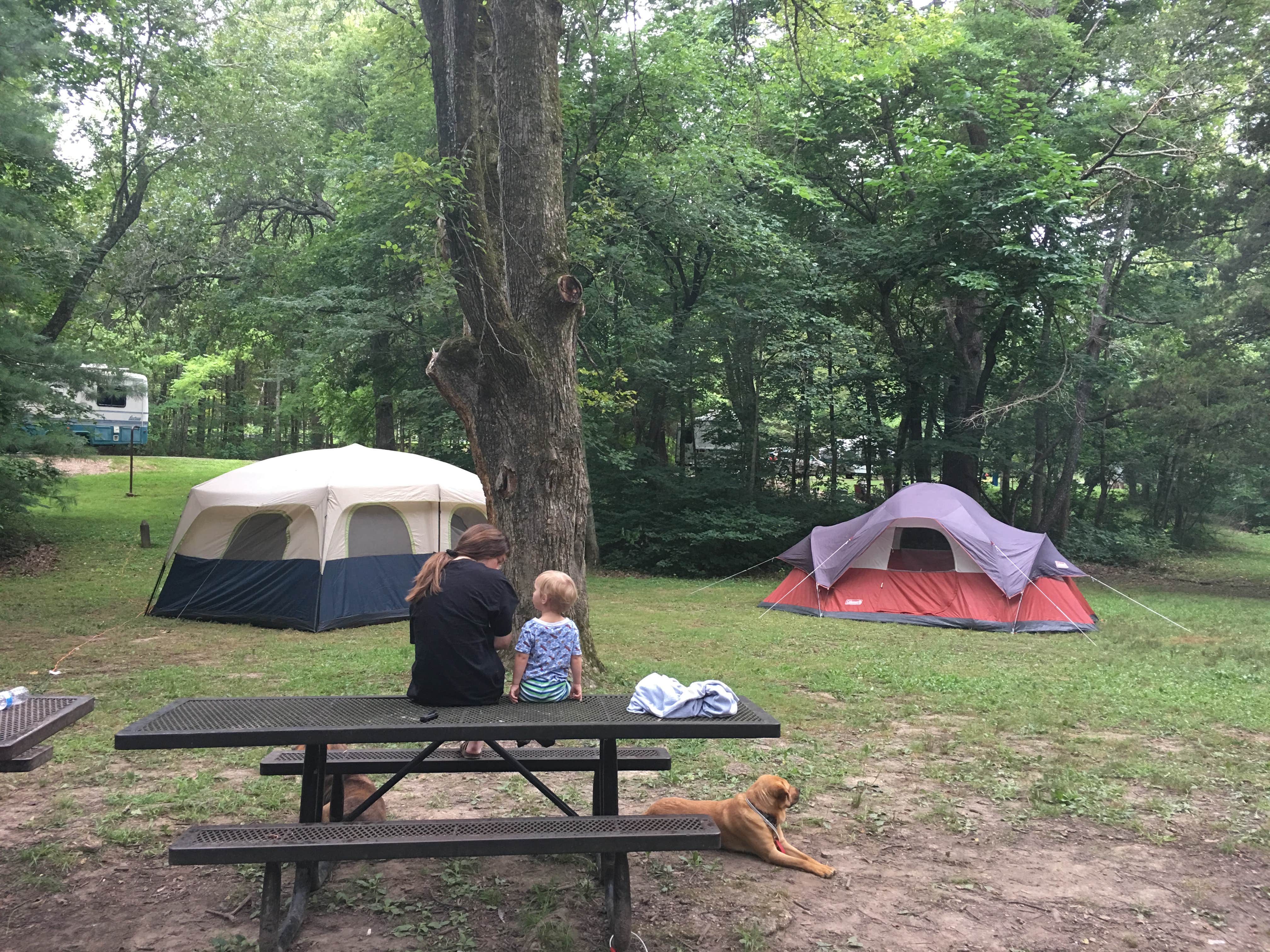 Gwenn W.'s photo at Red Bluff Campground near Bourbon, MO