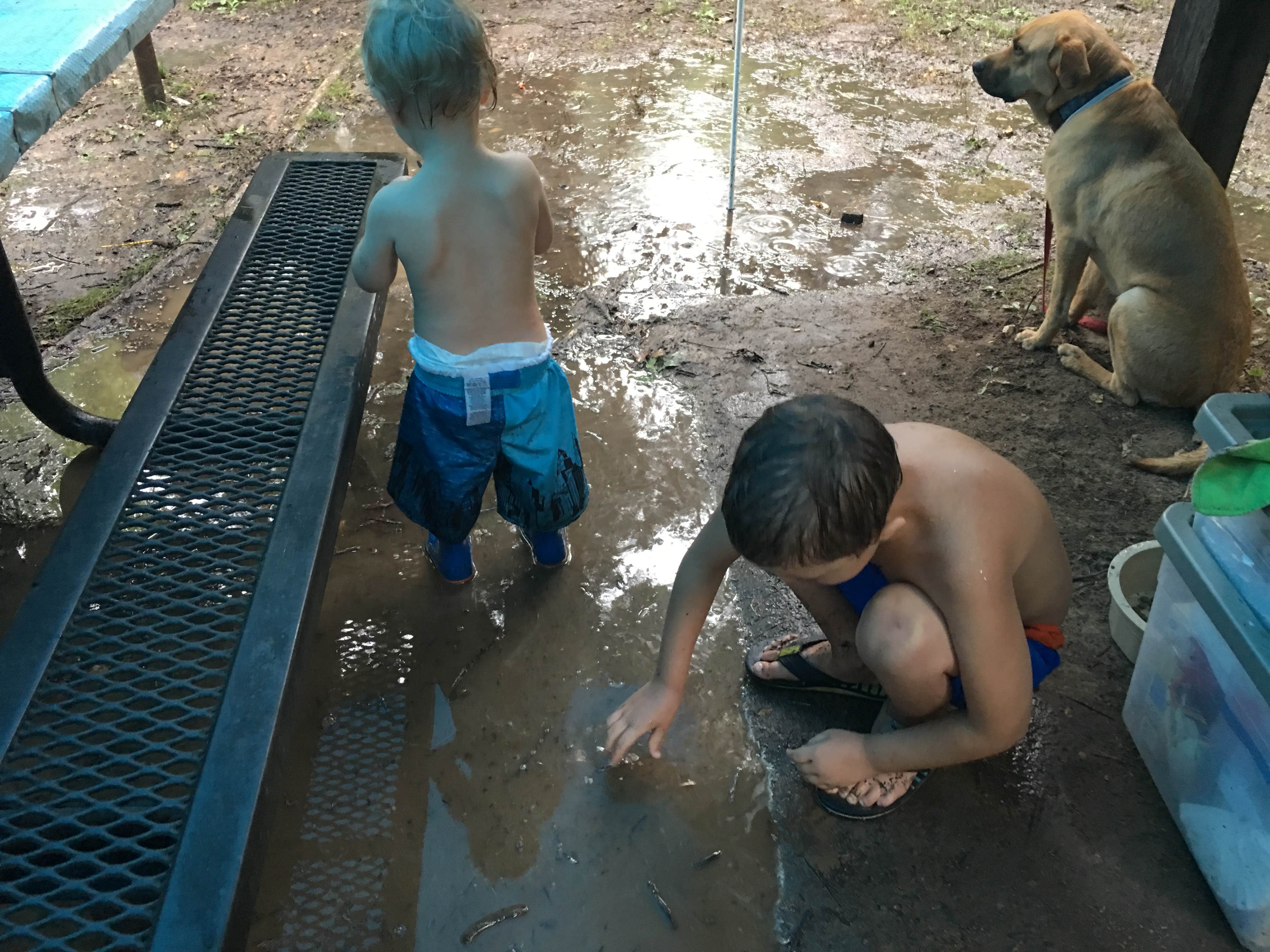 Gwenn W.'s photo of camping with pets at Red Bluff Campground near Cadet, MO
