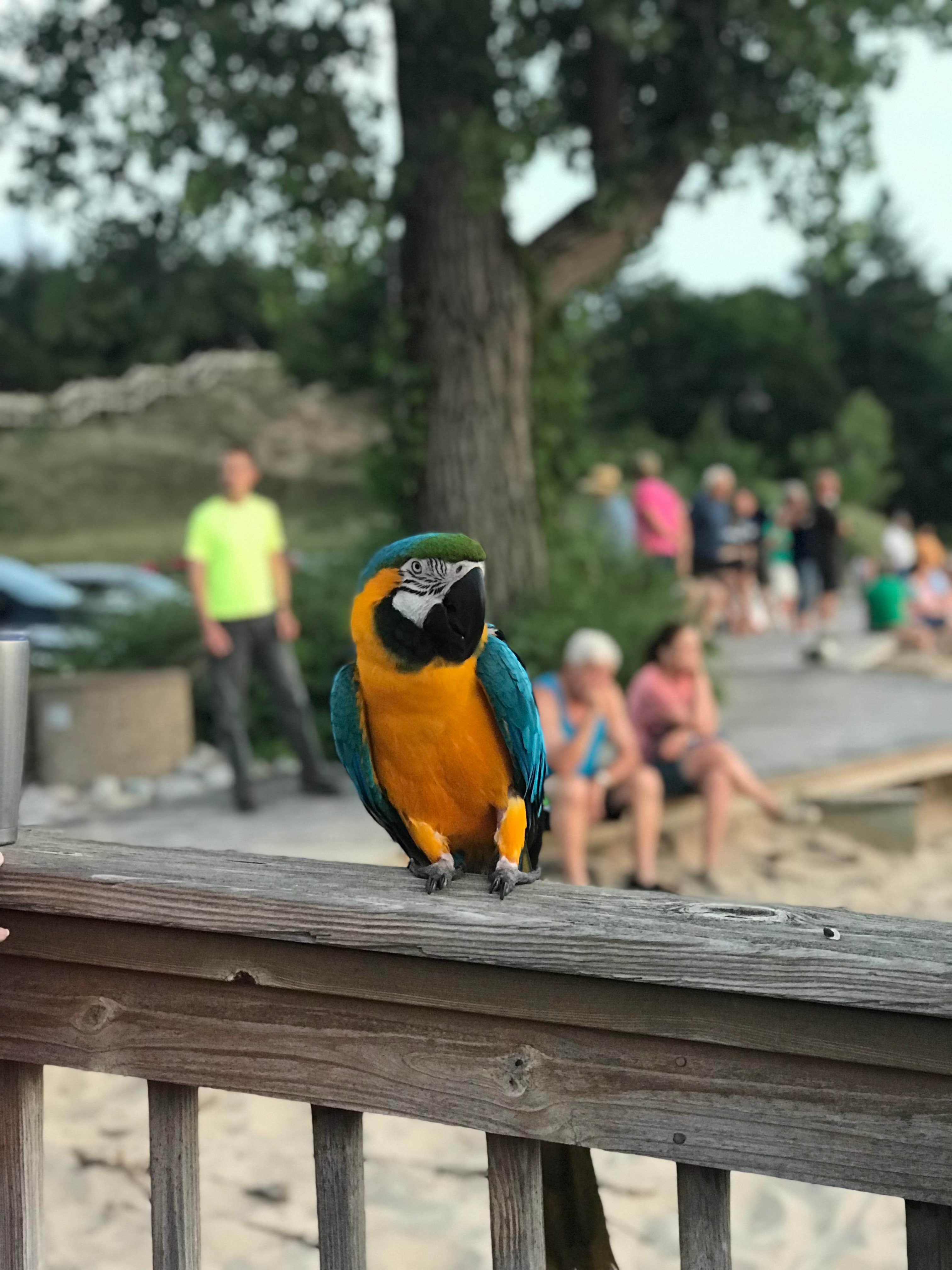 Camper-submitted photo at Weko Beach Campground near Niles, MI