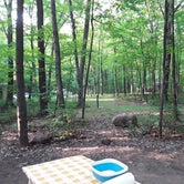 Review photo of High Cliff State Park Campground by Donna W., July 17, 2019