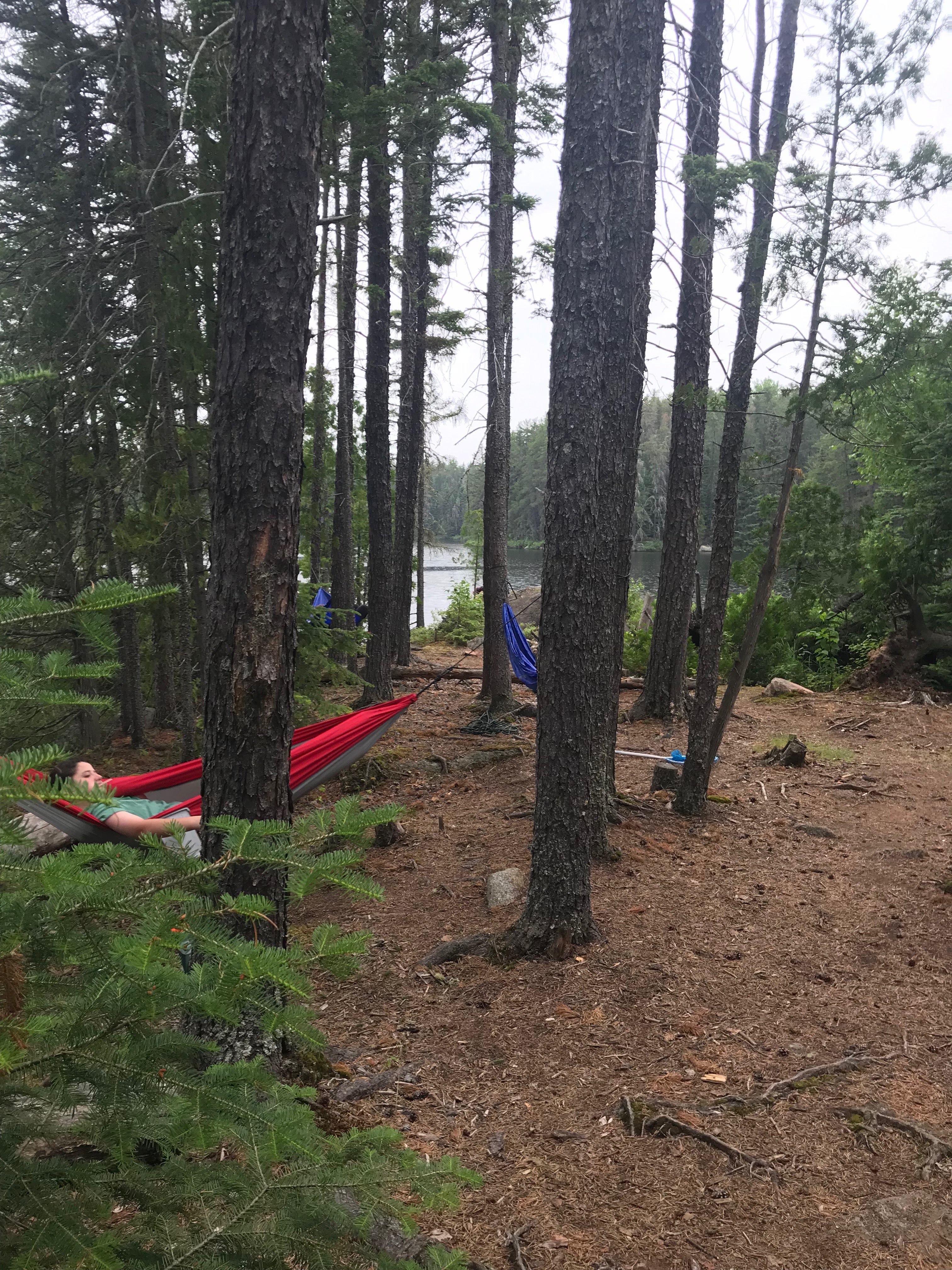 Camper submitted image from Boundary Waters Canoe Area, North Temperance Lake Backcountry Camping Site #905 - 3