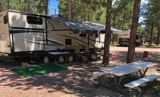 Camping near Colorado Heights Resort: Peregrine Pines FamCamp, Monument, Colorado