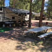 Review photo of Peregrine Pines FamCamp by Erin S., July 17, 2019