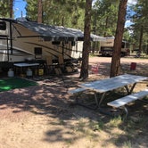 Review photo of Peregrine Pines FamCamp by Erin S., July 17, 2019