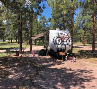 Camper-submitted photo from Lone Duck Campground and Cabins