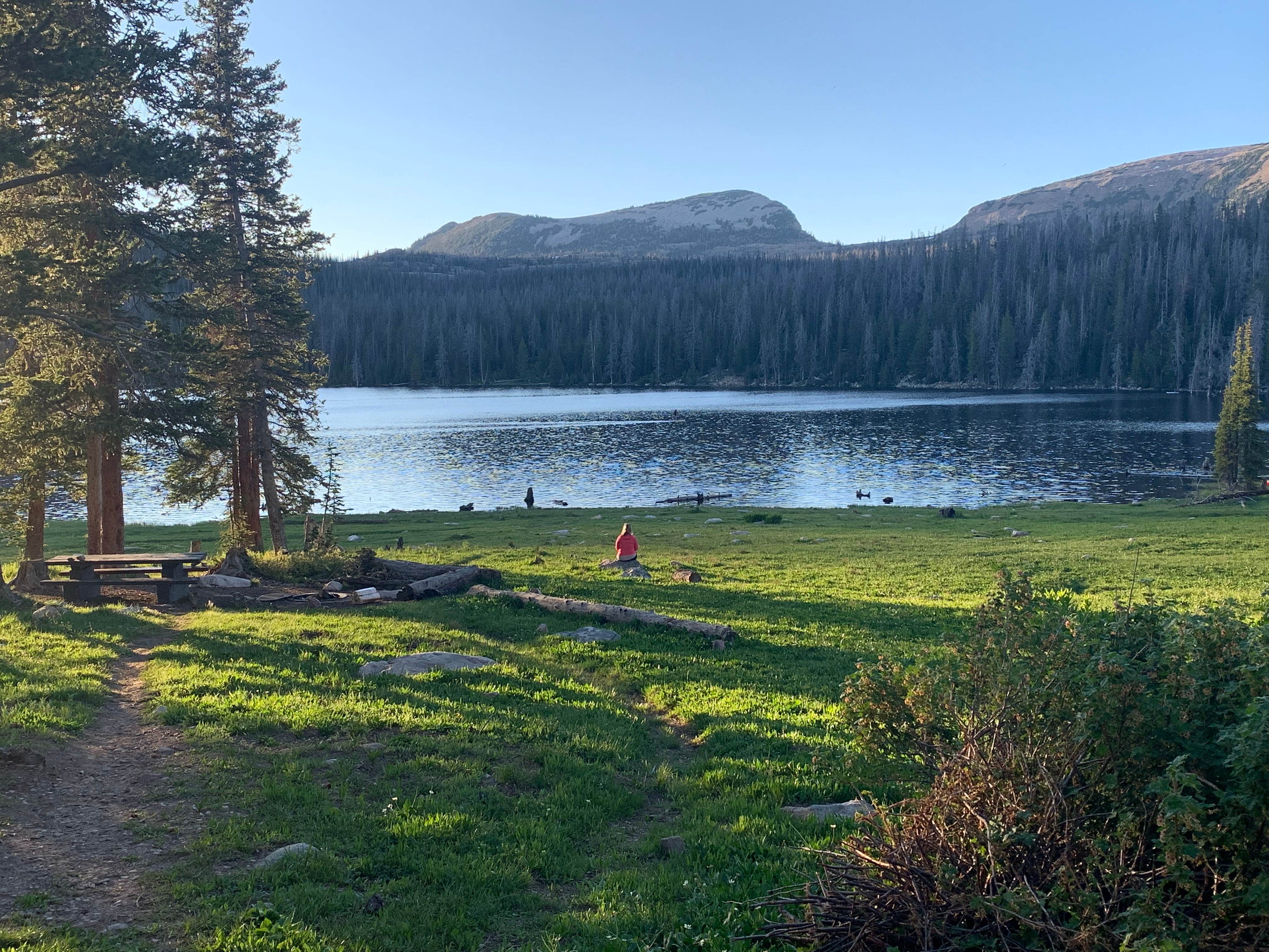 Camper-submitted photo at Trial Lake near Hanna, UT