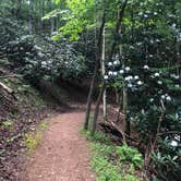 Review photo of Royal Oak Campground — Hungry Mother State Park by Katie M., July 17, 2019